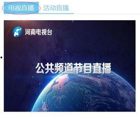 河南卫视回看在线观看,重温经典,畅享视听盛宴 第3张 河南卫视回看在线观看,重温经典,畅享视听盛宴 第3张