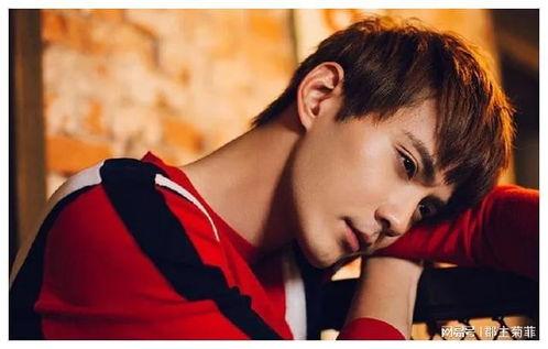 徐正溪最新爆料图片大全,时尚魅力与生活瞬间尽收眼底  第2张