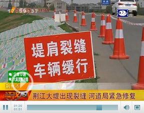 荆州爆料最新,揭秘当地最新热点事件  第1张