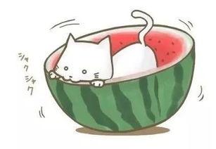 带你吃瓜呀全集免费观看,揭秘带你吃瓜呀全集免费观看背后的精彩故事  第2张