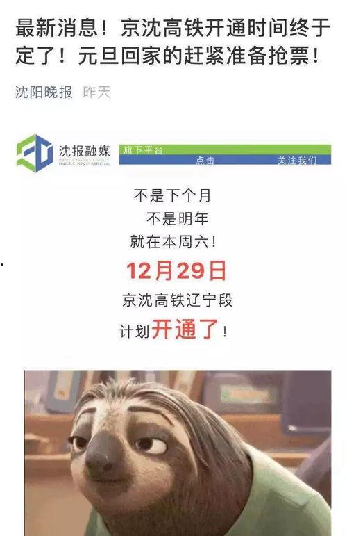 沈阳新闻爆料公众号  第2张