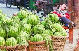 城固吃瓜最新事件爆料新闻,揭秘背后惊人真相,网络热议持续升温 第2张 城固吃瓜最新事件爆料新闻,揭秘背后惊人真相,网络热议持续升温 第2张