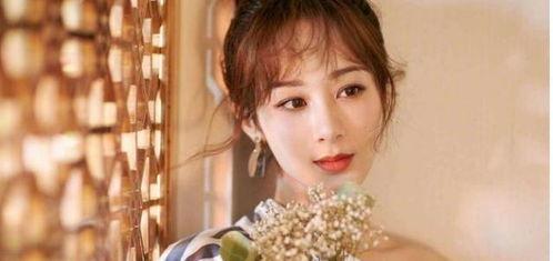 贴吧爆料杨紫事件视频,揭秘娱乐圈风波背后的真相  第2张