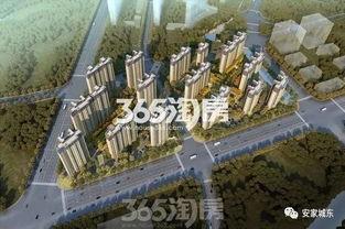 城东某楼盘爆料视频最新,爆款楼盘揭秘，品质生活即将启幕！  第2张