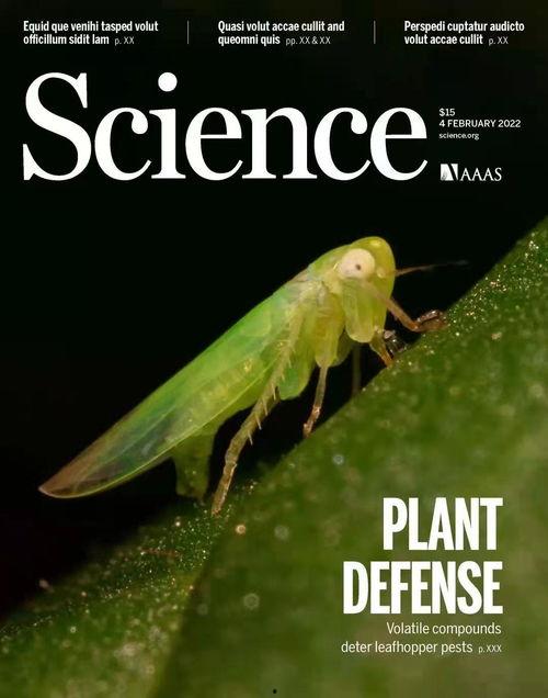 昆虫学者皮肤最新爆料,皮肤奥秘新发现 第3张 昆虫学者皮肤最新爆料,皮肤奥秘新发现 第3张