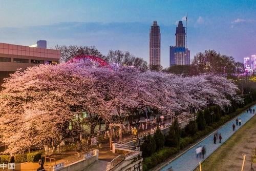 抖音网红吃瓜入口在哪找,揭秘网红美食探秘之旅 第2张 抖音网红吃瓜入口在哪找,揭秘网红美食探秘之旅 第2张