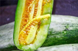 网红照片吃瓜,揭秘幕后真相,带你领略网络红人的魅力与争议 第3张 网红照片吃瓜,揭秘幕后真相,带你领略网络红人的魅力与争议 第3张