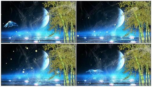 月光爆料最新视频下载,精彩瞬间不容错过! 第3张 月光爆料最新视频下载,精彩瞬间不容错过! 第3张