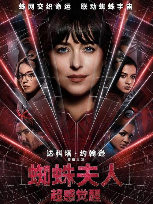 蜘蛛夫人爆料视频全集,揭秘娱乐圈惊人内幕