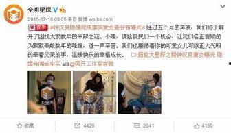 娱乐圈真实事件爆料大全,揭秘真实事件背后的惊人真相