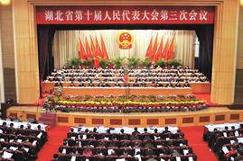 湖北记者爆料最新消息,重大事件引发社会关注