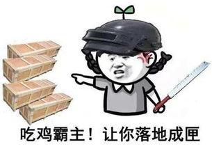 吃鸡最新大爆料,全新玩法与内容震撼来袭! 第1张 吃鸡最新大爆料,全新玩法与内容震撼来袭! 第1张