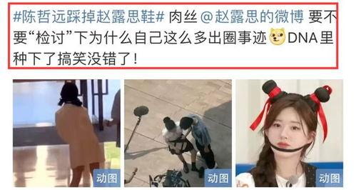 陈哲远粉丝爆料了吗视频,揭秘背后真相 第3张 陈哲远粉丝爆料了吗视频,揭秘背后真相 第3张