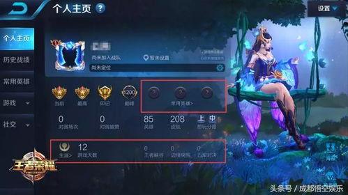 王者英耀新爆料视频大全,视频大全揭秘精彩瞬间与神秘新内容