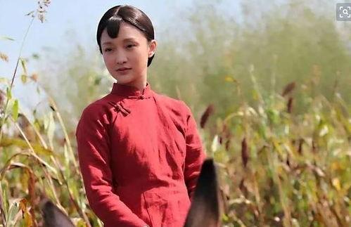 红高粱电视剧全集在线观看48集