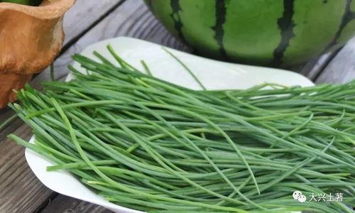 吃瓜区的网红,揭秘吃瓜区网红的崛起之路  第3张