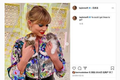 黑客爆料霉霉视频,黑客爆料引发网络热议 第3张 黑客爆料霉霉视频,黑客爆料引发网络热议 第3张