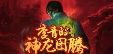 神龙李青爆料视频大全最新,揭秘娱乐圈幕后真相