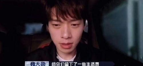 良哥明星爆料视频播放,良哥独家爆料视频幕后真相大起底