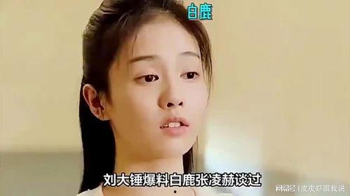 大锤爆料白鹿视频,白鹿视频引发热议,背后真相揭秘 第3张 大锤爆料白鹿视频,白鹿视频引发热议,背后真相揭秘 第3张