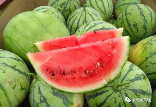 17cc吃瓜网免费吃瓜红桃,免费吃瓜红桃,畅享娱乐盛宴 第3张 17cc吃瓜网免费吃瓜红桃,免费吃瓜红桃,畅享娱乐盛宴 第3张