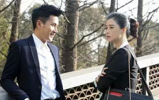 电视剧继承人全集在线观看,家族纷争，情感纠葛，揭秘豪门秘事  第3张