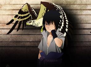 白衣佐助爆料视频在线观看,揭秘幕后的惊人真相