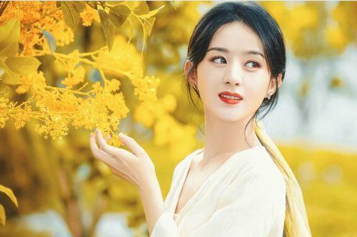 最新爆料顶流女星,美貌与才华并存的璀璨之星 第2张 最新爆料顶流女星,美貌与才华并存的璀璨之星 第2张