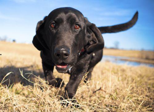 守夜人故事视频爆料大全,揭秘神秘事件背后的真相  第2张
