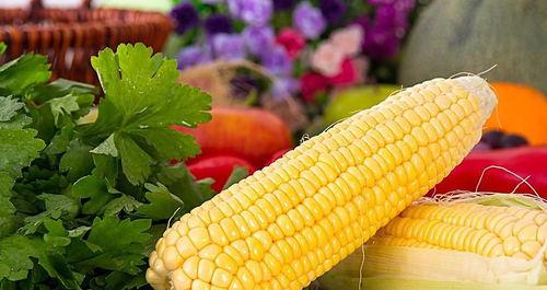 玉米冰糖爆料怎么做视频,揭秘视频制作全攻略