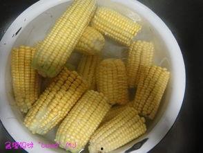 玉米冰糖爆料怎么做视频,揭秘视频制作全攻略  第2张