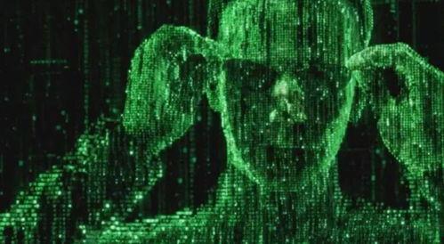 顶级黑客爆料视频大全最新,最新视频大全深度解析  第3张