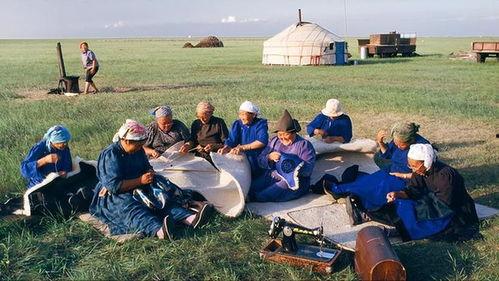 蒙古部落爆料视频,爆料视频背后的真实故事