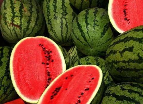 新疆网红求瓜吃,瓜香四溢引网友热议  第3张