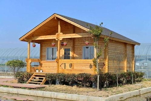 木屋爆料视频大全,视频大全背后的惊人真相  第1张