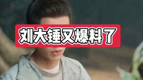 刘大锤爆料娱乐圈男艺人,揭秘明星背后的真实生活 第3张 刘大锤爆料娱乐圈男艺人,揭秘明星背后的真实生活 第3张