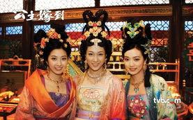 《公主嫁到》在线观看,宫廷爱情传奇 第2张 《公主嫁到》在线观看,宫廷爱情传奇 第2张