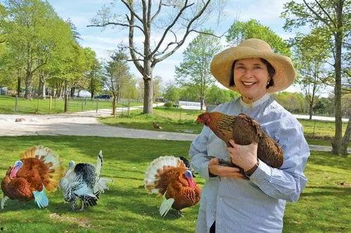 吃瓜娱乐酱顶流社,揭秘顶流社背后的明星圈层  第3张