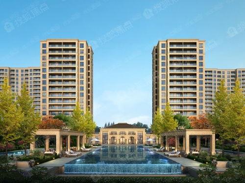 武汉桃李春风最新爆料,揭秘项目神秘面纱背后的惊喜与挑战