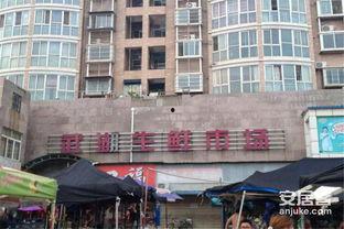 武汉桃李春风最新爆料,揭秘项目神秘面纱背后的惊喜与挑战  第2张