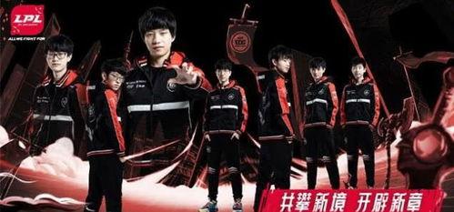 娱乐园爆料大佬是谁,揭秘幕后真相与神秘身份  第2张