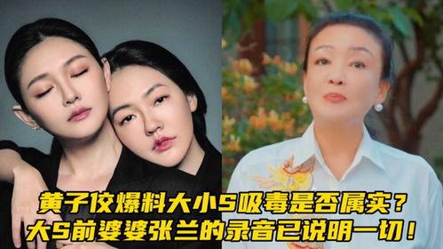 大s爆料最新消息录音,娱乐圈风云再起  第2张