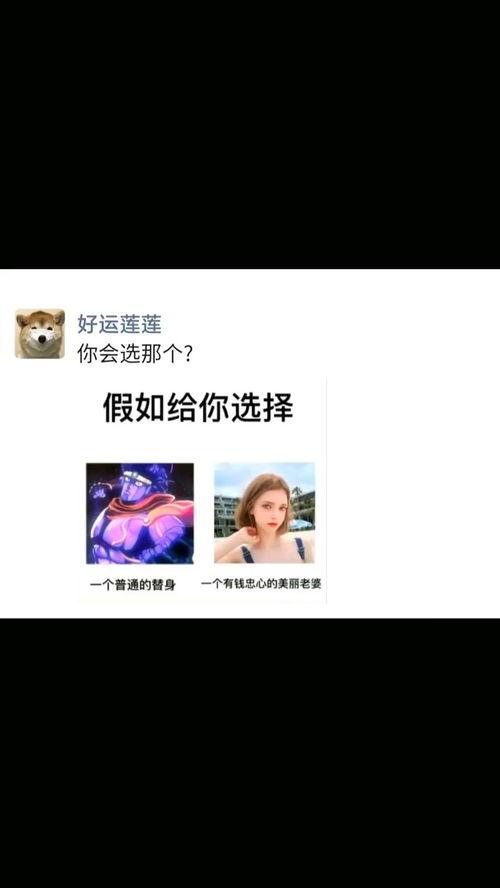 搞笑爆料神评视频大全播放,笑点爆棚,快来一睹为快! 第3张 搞笑爆料神评视频大全播放,笑点爆棚,快来一睹为快! 第3张