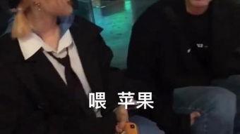 神风队的爱在线观看,在线重温爱在战火中的英勇岁月  第3张