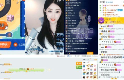 彩虹夫妇被爆料视频,真相与争议交织