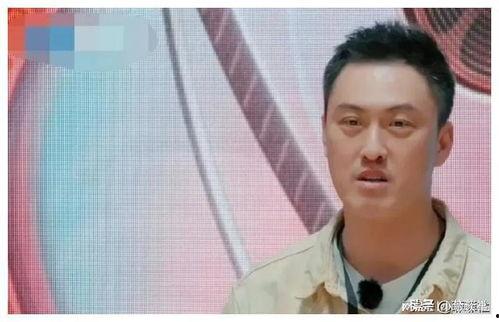 娱乐圈吃瓜警察是谁,揭秘明星幕后真相  第3张