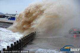 在线观看巨浪,揭秘海洋深处的神秘世界